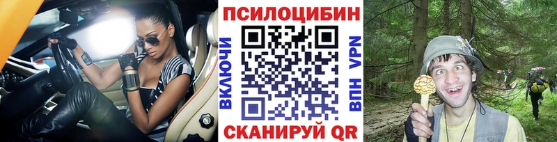 Псилоцибиновые грибы MAGIC MUSHROOMS  darknet какой сайт  Махачкала 